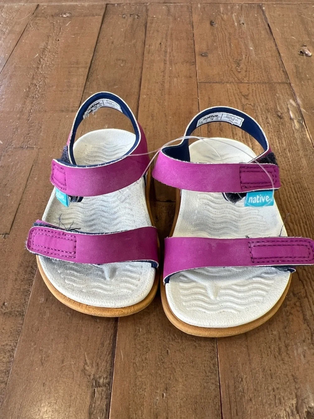 Native Charley hook and loop waterproof sandals little kid 4 purple